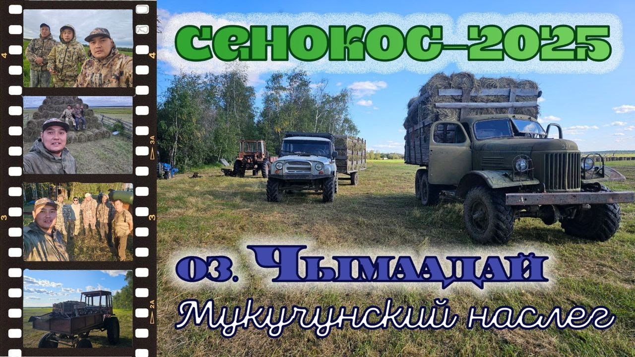 Сенокос 2025 оз. Чымаадай с.Мукучи. Haymaking 2025 lake  Chimaadai village Mukuchi