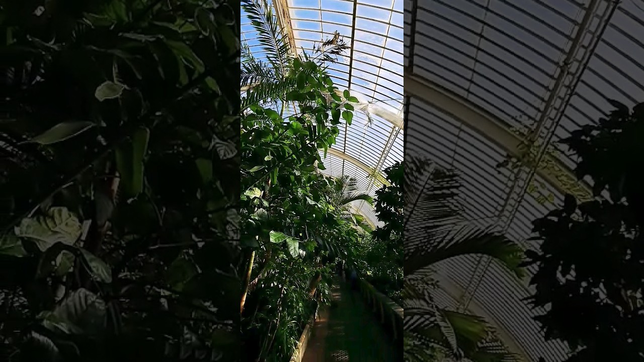 #kewgardens #kew