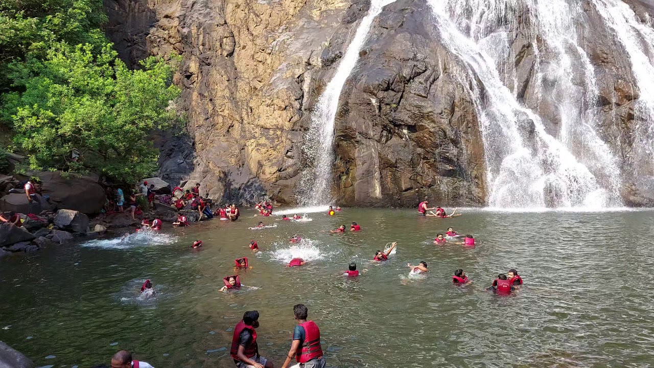 dudhsagar goa | goa video #dudhsagar @travelvikas. #youtubeshorts #shorts #short #Goa #shortsgoa