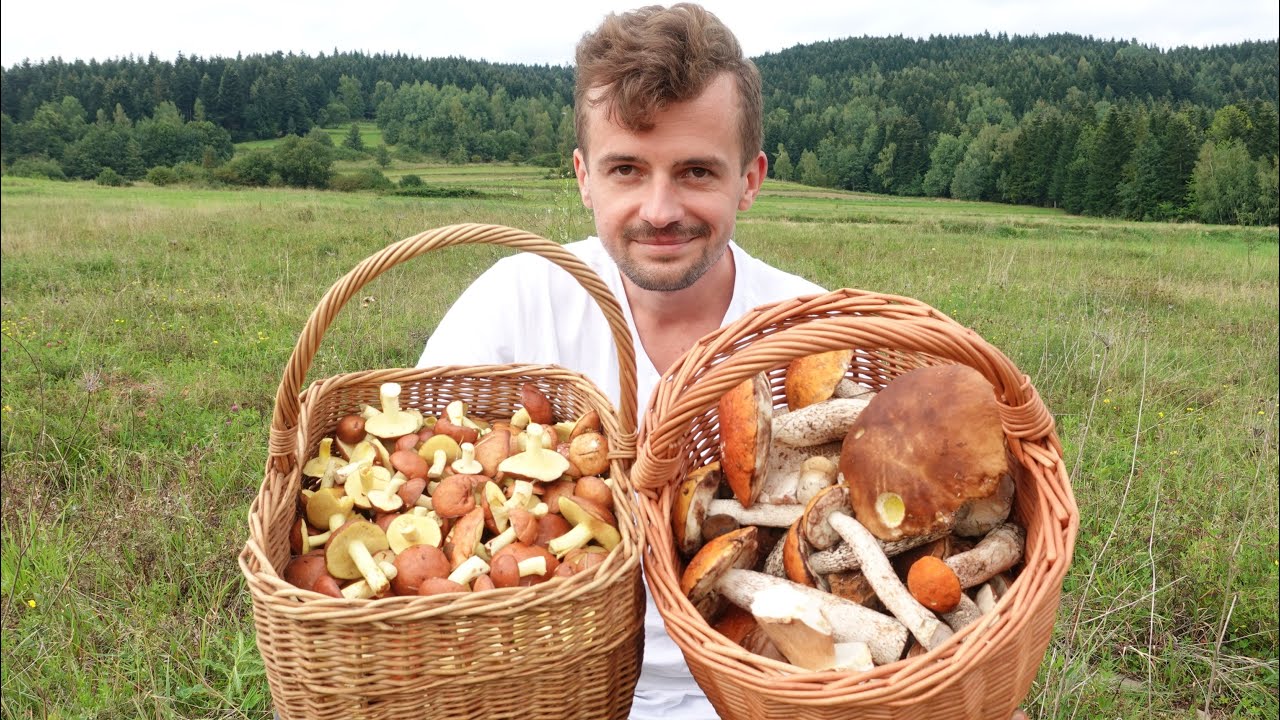 KOSZE pełne GRZYBÓW