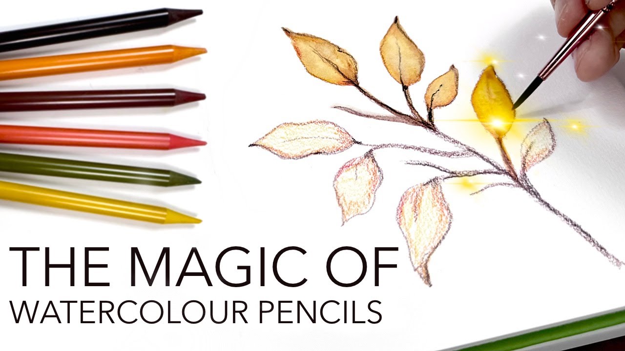 Simple Autumn Leaves Using Watercolour Pencils!