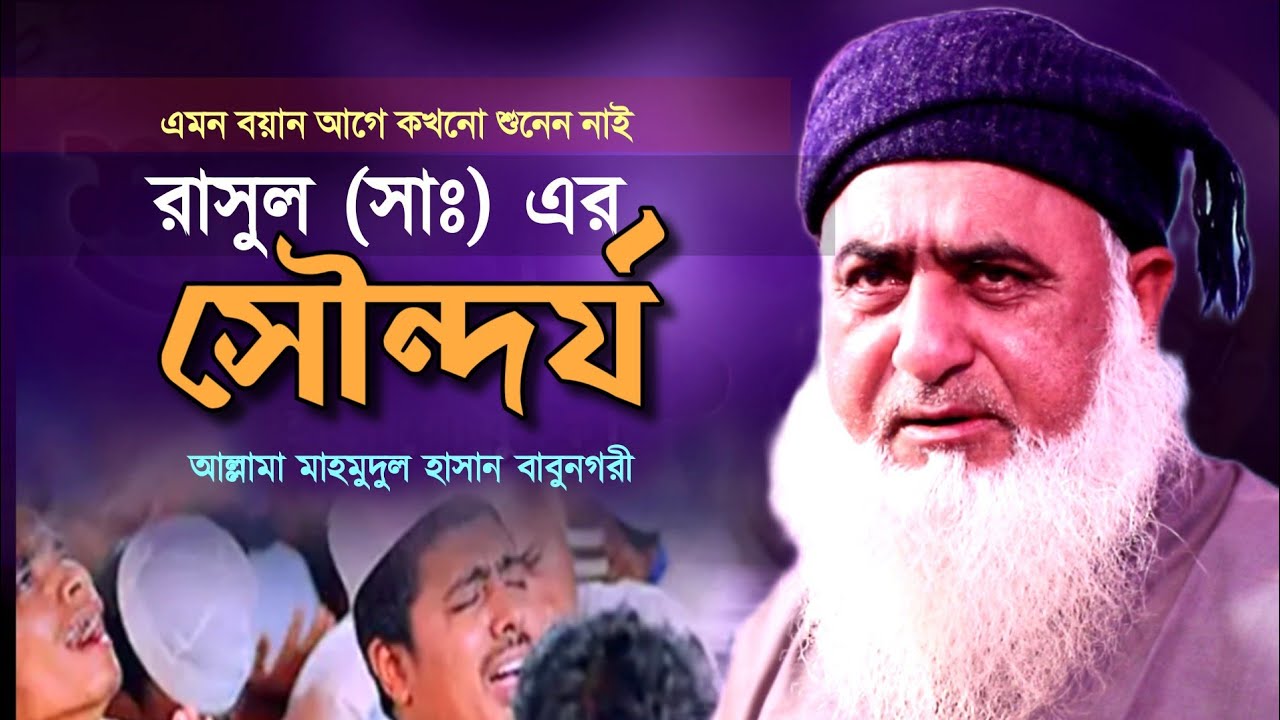 কেমন সুন্দর ছিলেন আমার রাসুল (সাঃ) |মুফতি মাহমুদুল হাসান বাবুনগরী |Mahmodul hasan babonagori waz|