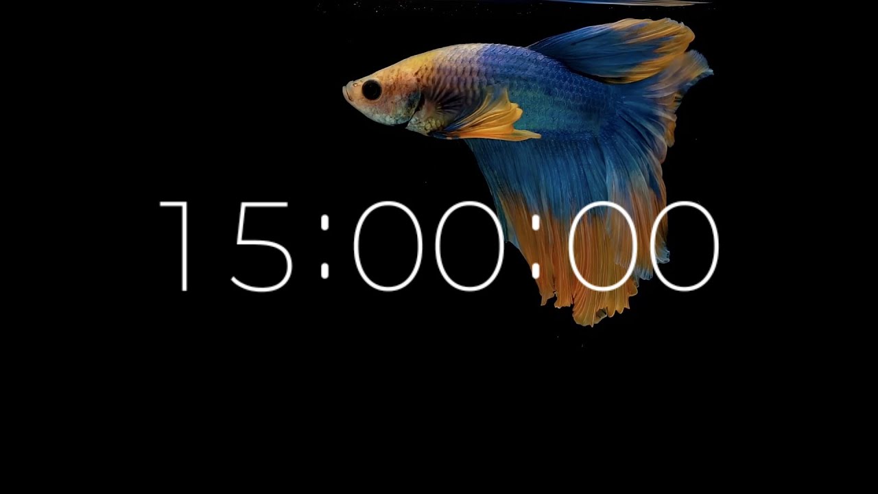 15 Minute Classroom Timer with Soft Music | 4K Calm Visual | Produced by SoniCentric