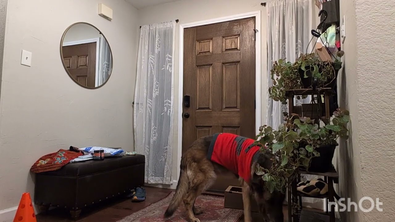 NW102J week 2 video 4