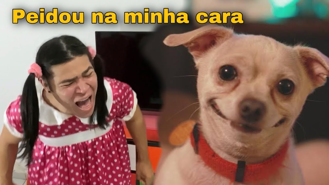 Cachorro peidou na cara de Ketley