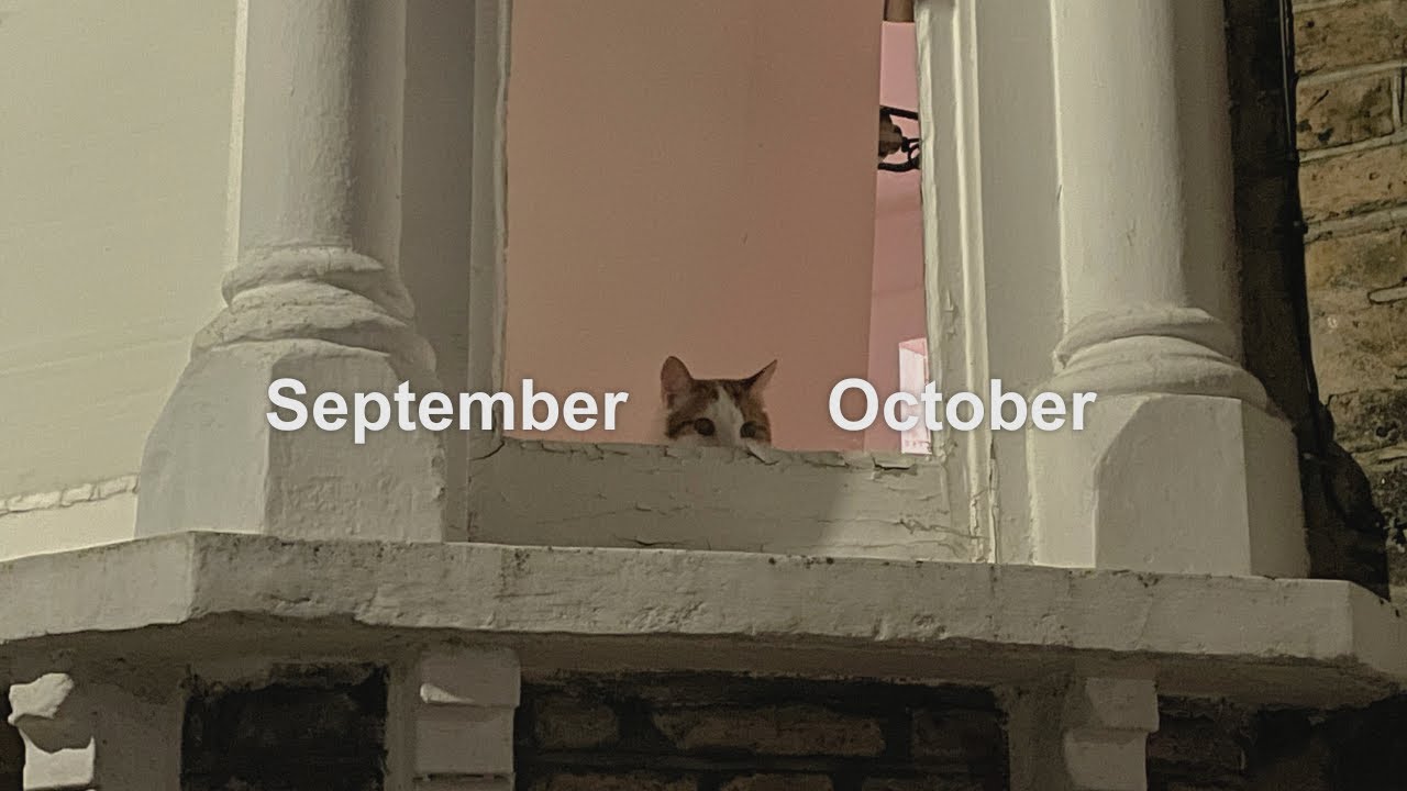 September, October at Yunie's | 유니네서 보낸 가을