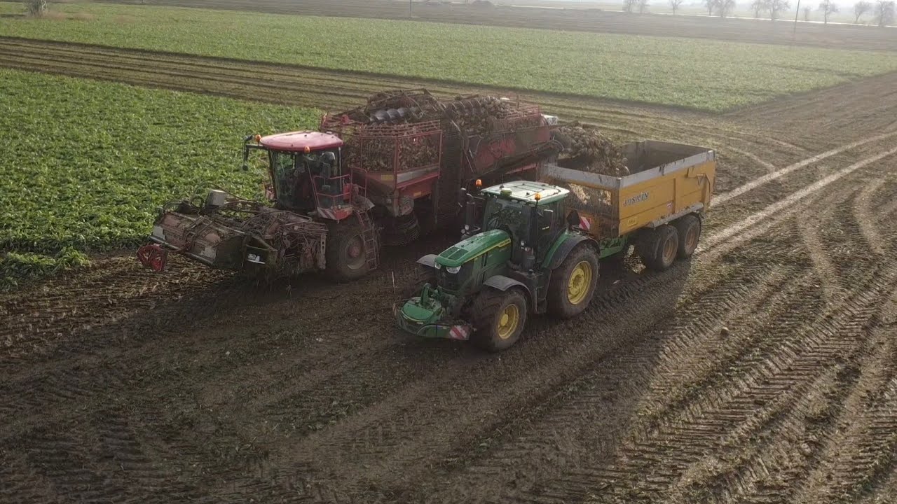 Repná Kampaň 2025 | Holmer TerraDos T4.40 | John Deere 6R250 | PD Žlkovce-Ratkovce 