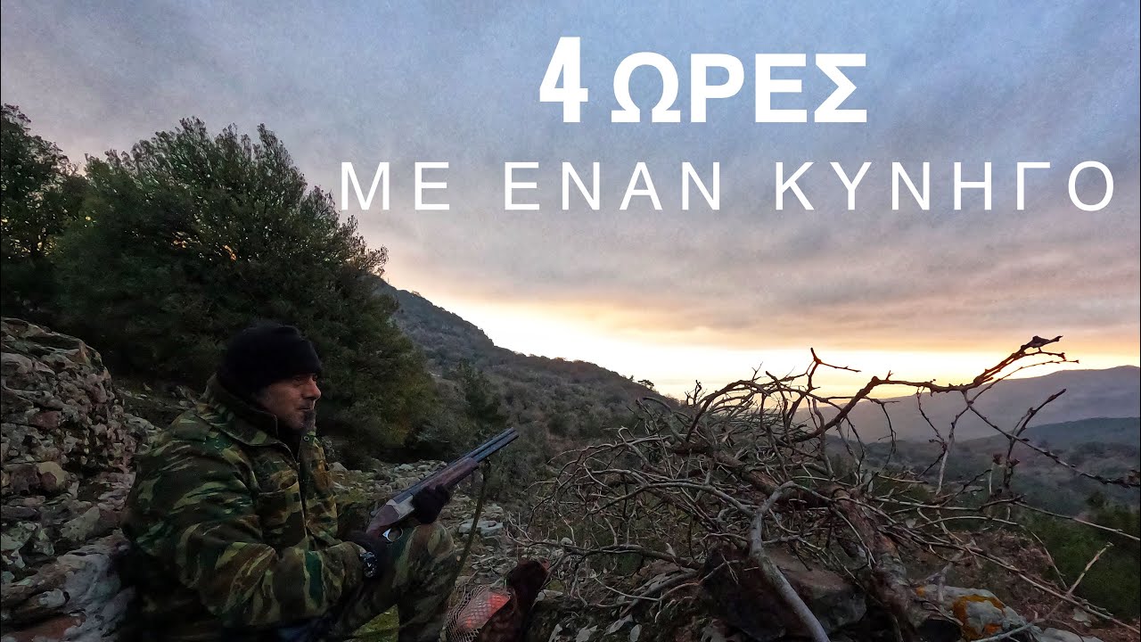 Κυνήγι Φάσσας στη Λέσβο | Bird #hunting in Lesvos