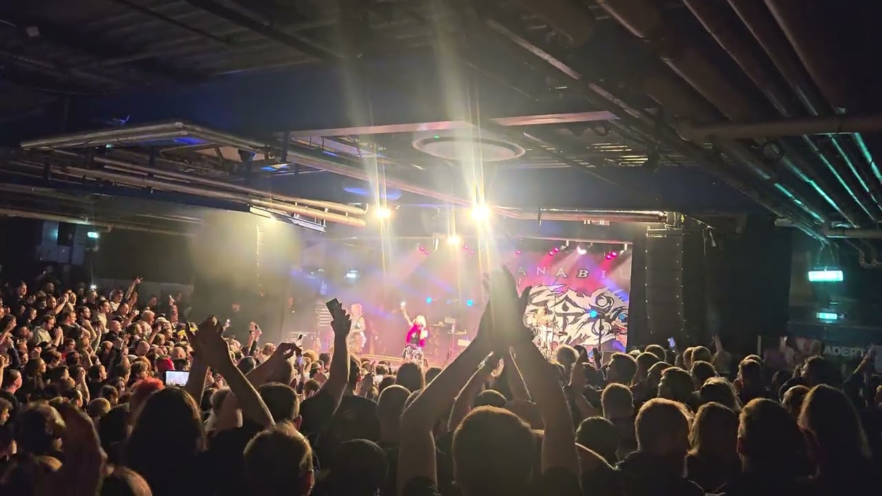 Hanabie. - Want to TIE UP - Live München 2025 (Backstage)