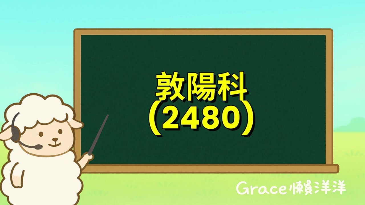 【Grace懶洋洋Podcast頻道】ep.032｜AI整合&times;駭客思維&times;資安--敦陽科技(2480)打造智慧企業防線!敦陽科114年Q1法說重點摘要