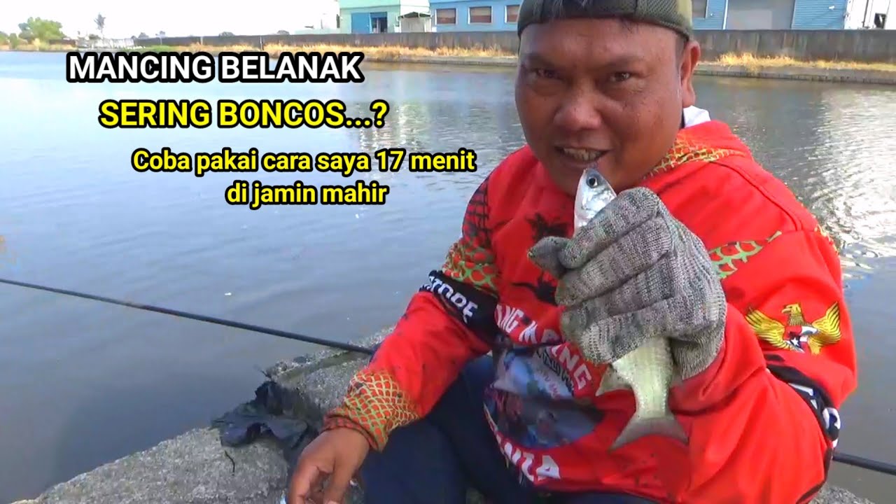 CARA MANCING IKAN BELANAK PAKAI RANGKAIAN 2 MATA KAIL UMPAN ROTI TAWAR