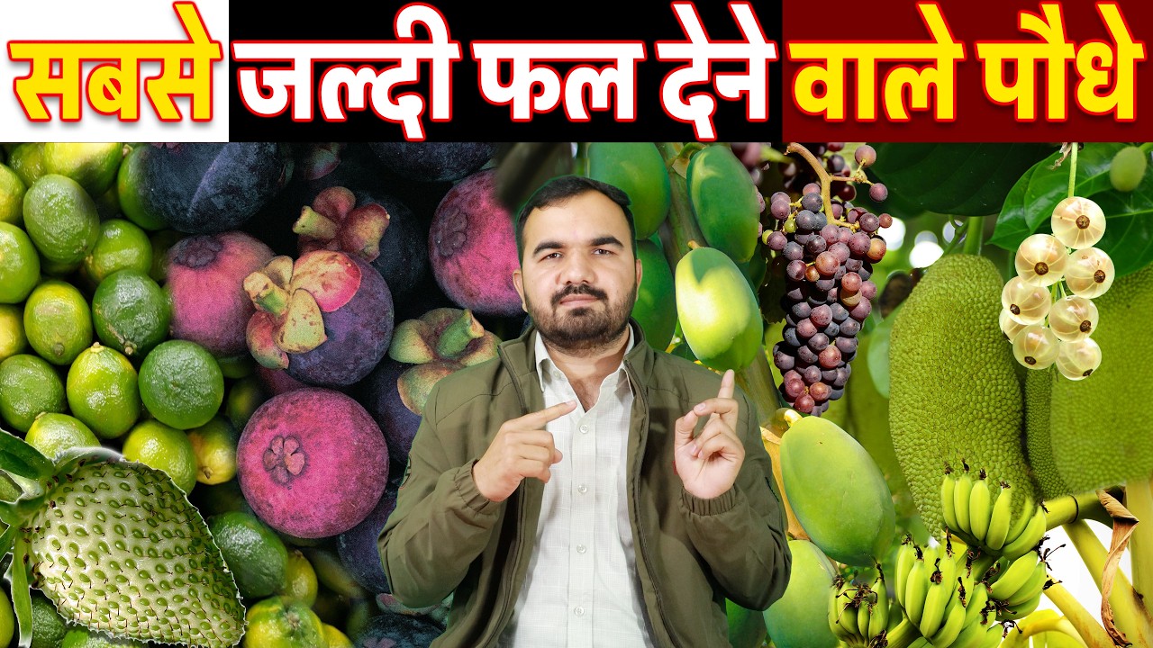 पहले साल फल देने वाले 25+ फलदार पौधे 🔥 Fast Growing Fruit Plants | Top Fast Growing Fruit Plants