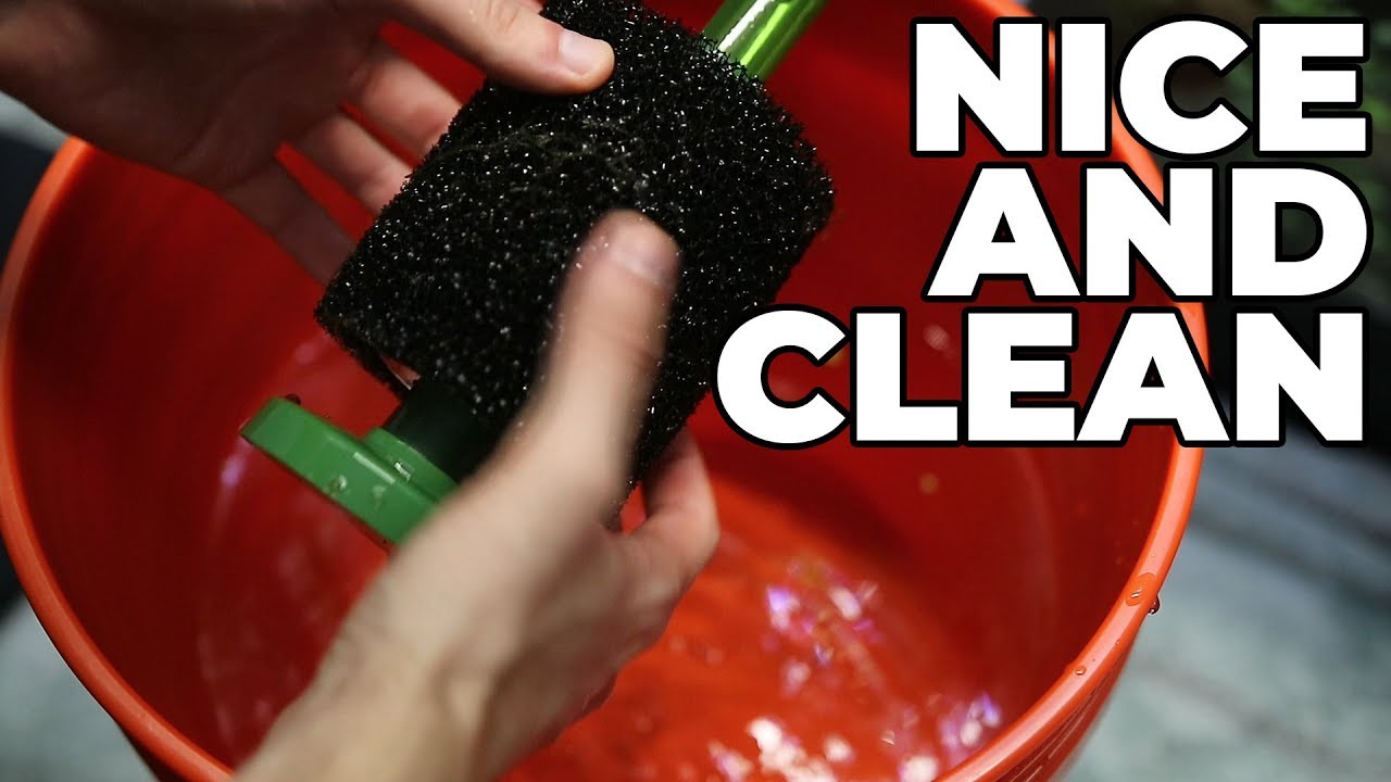 How To Clean A Sponge Filter