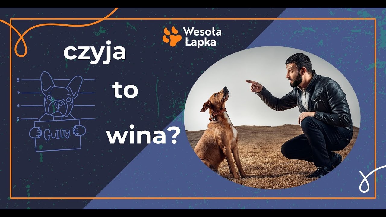 Czyja to wina?