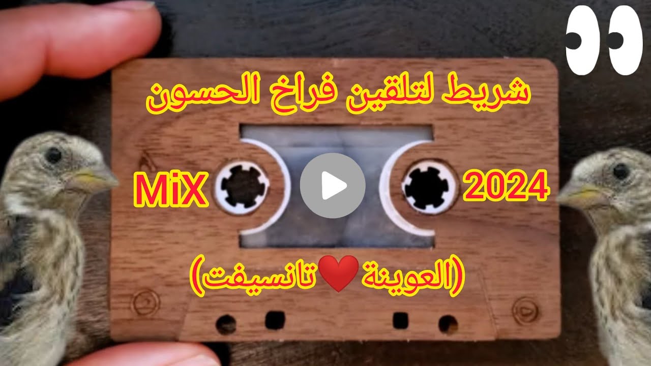 شريط لتلقين فراخ طائر الحسون تغريد الويدانية 2024 MiX (العوينة❤️تانسيفت) إهداء لجميع المتابعين.