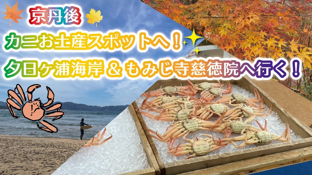 京丹後・カニお土産スポットへ！湯けむり朝市＊かに一番＊夕日ヶ浦海岸＊もみじ寺慈徳院