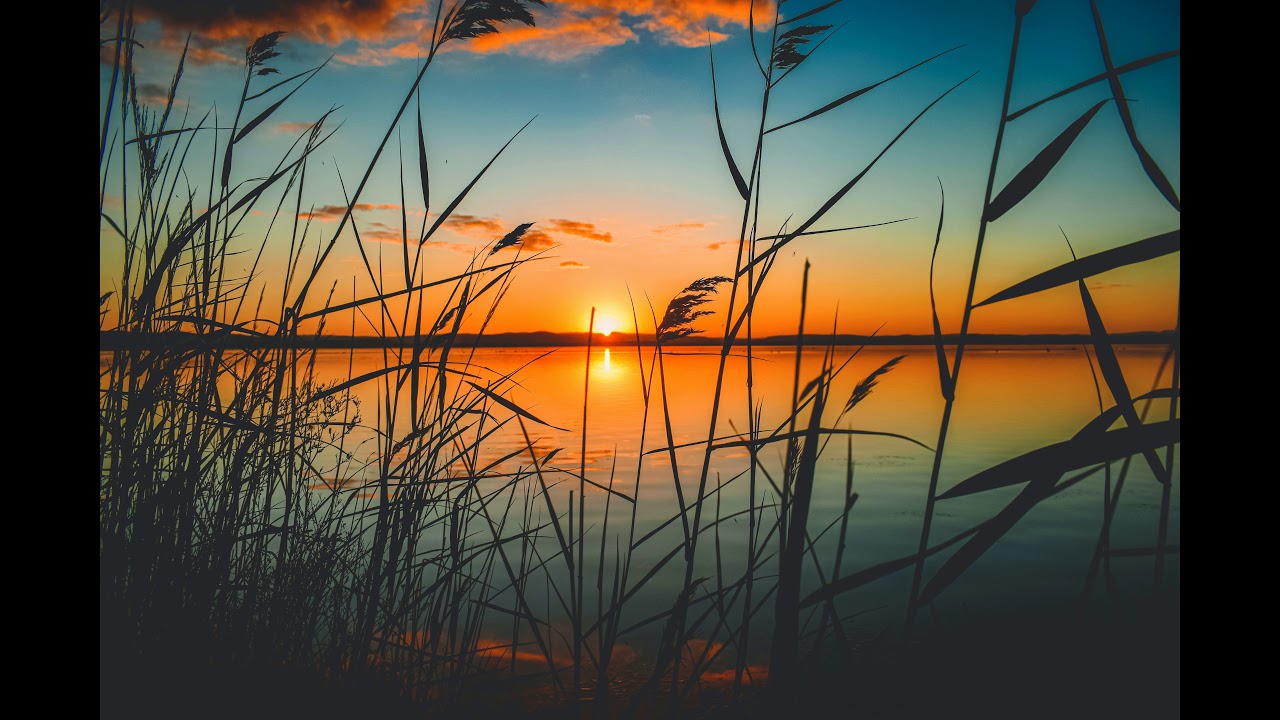The Golden Present - Jesse Gallagher  Ambient | Inspirational