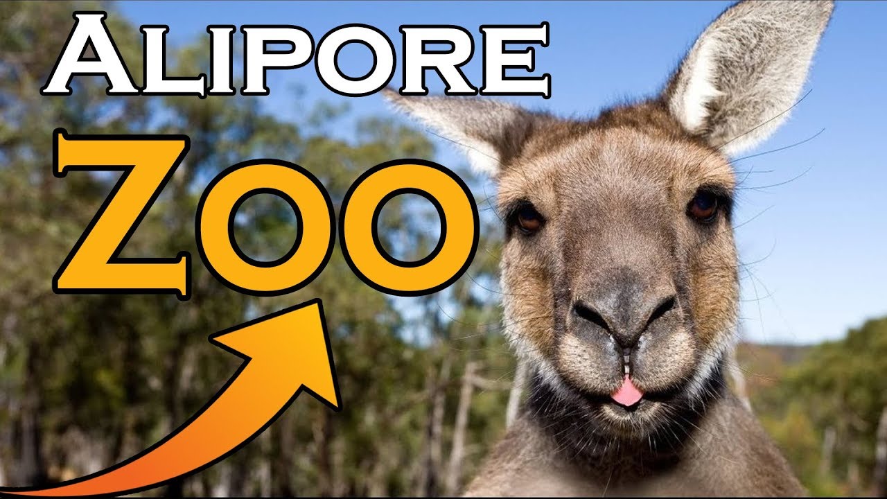 Alipore Zoological Garden, Kolkata Zoo, India in 4K