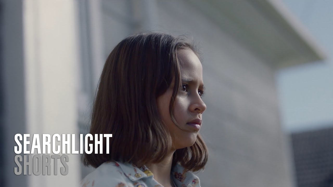 SEARCHLIGHT SHORTS | ANI | dir. Josephine Stewart-Te Whiu