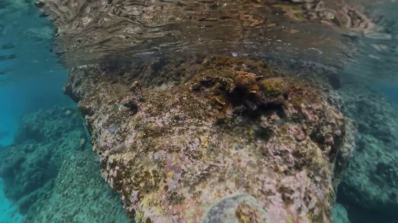 Curacao Snorkeling Playa Lagun 1