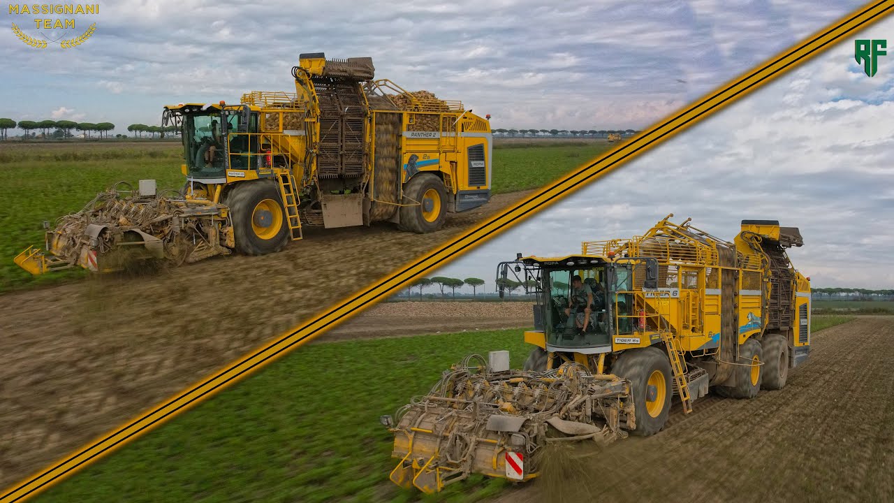 Big Sugar Beets Harvest - Ropa Tiger6s & Ropa Panther2s - Massignani Team #ropa