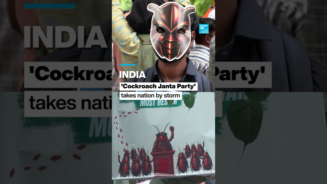 'Cockroach Janta Party' takes India by storm &bull; FRANCE 24 English