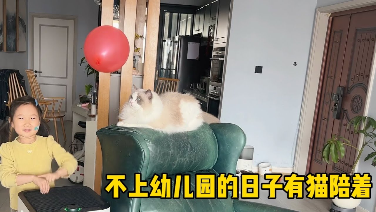 当人类幼崽生病请假在家，大老猫就承担了带娃的任务