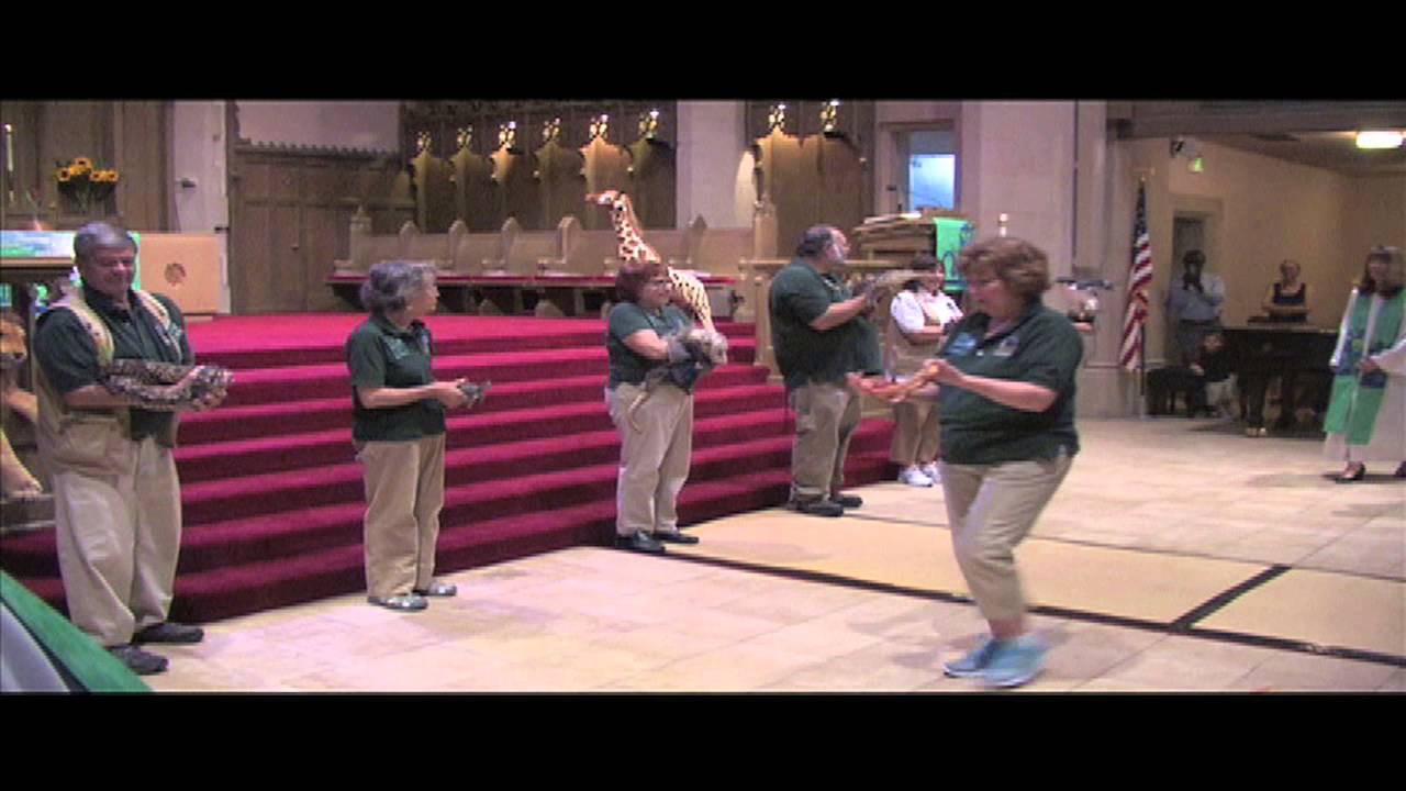 Denver Zoo animals blessed by Montview Boulevard Presbyterian Church