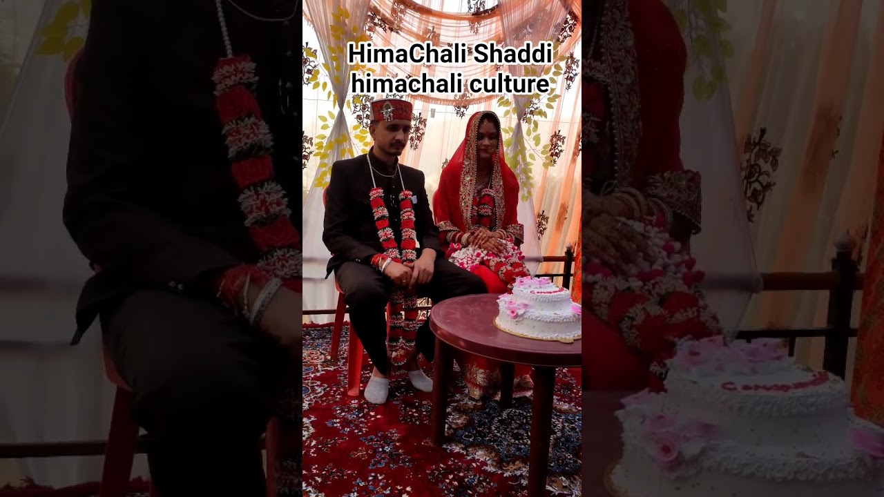 HimaChali Shaddi himachali rasme HimaChali culture #tranding #wedding #himachalishadi