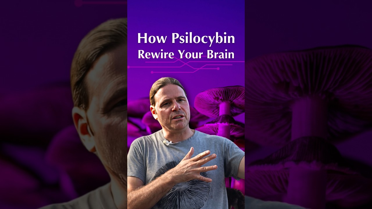 How Psilocybin Rewire Your Brain