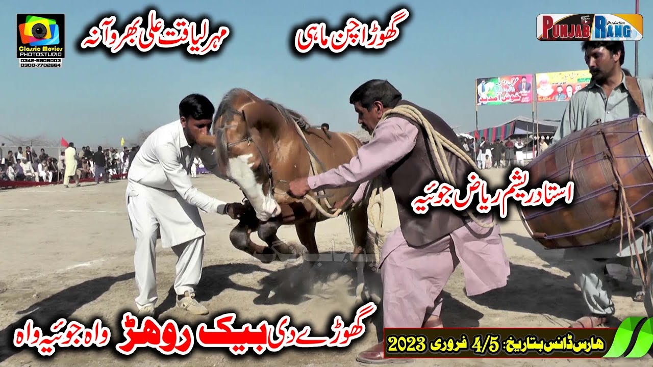 Chan Mahi ll Reverse Dance ll Liqat Bharwana ll Horse Dance ll Jhangar Lal Nankana Sahib ll 2023