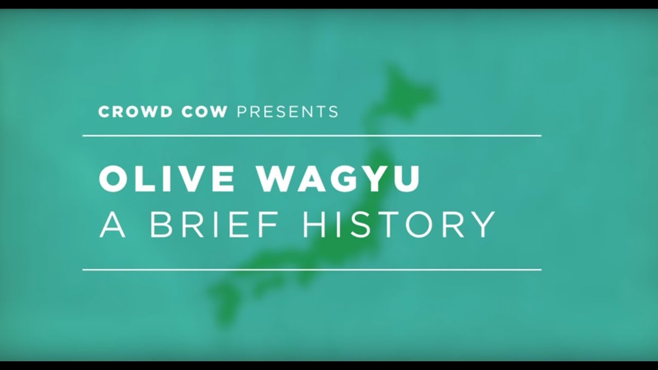 Olive Wagyu - A Brief History