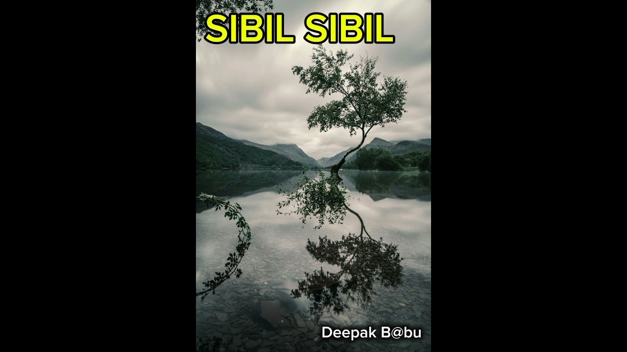 Sibil Sibil New Santhali AI Cover Song 