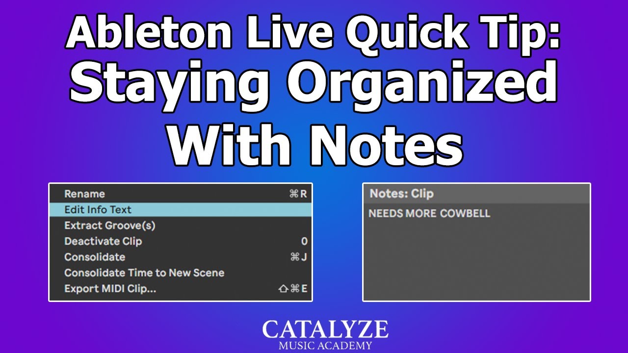 Ableton Live Quick Tip: Stay Organized with Notes