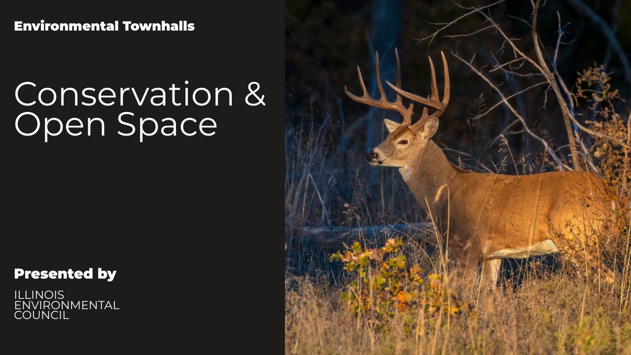 2025 Conservation and Open Space Townhall