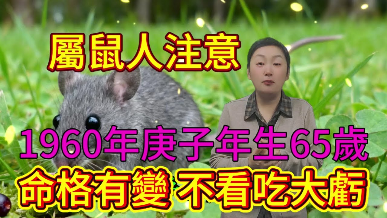 1960 年庚子屬鼠人注意！65 歲晚年命格將變，這些風險點不防真要吃大虧！#財富 #運勢 #生肖 #生肖運勢 #生肖鼠 #正能量