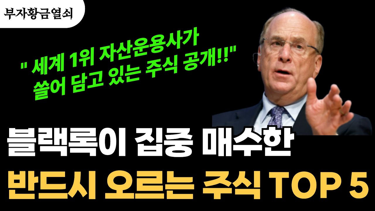 블랙록이 집중 매수한 AI 주식 TOP 5 (부자들은 이미 아는 비밀) #돈버는법 #동기부여
