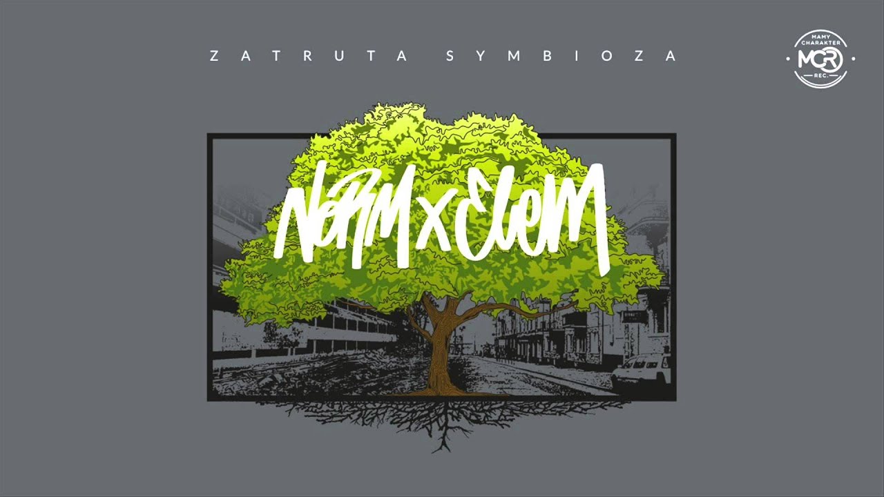 Norm x Elem -  Kwaśnego deszczu kropla