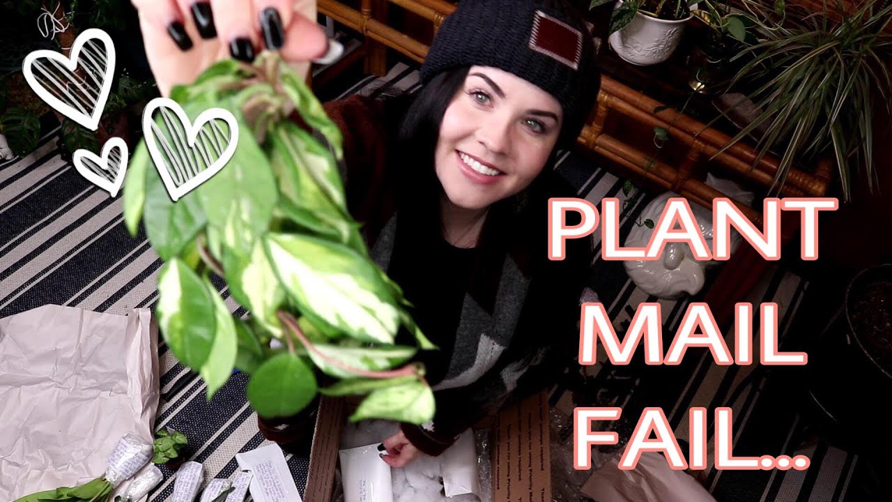 PLANT MAIL FAIL | WHAT DID I DO?