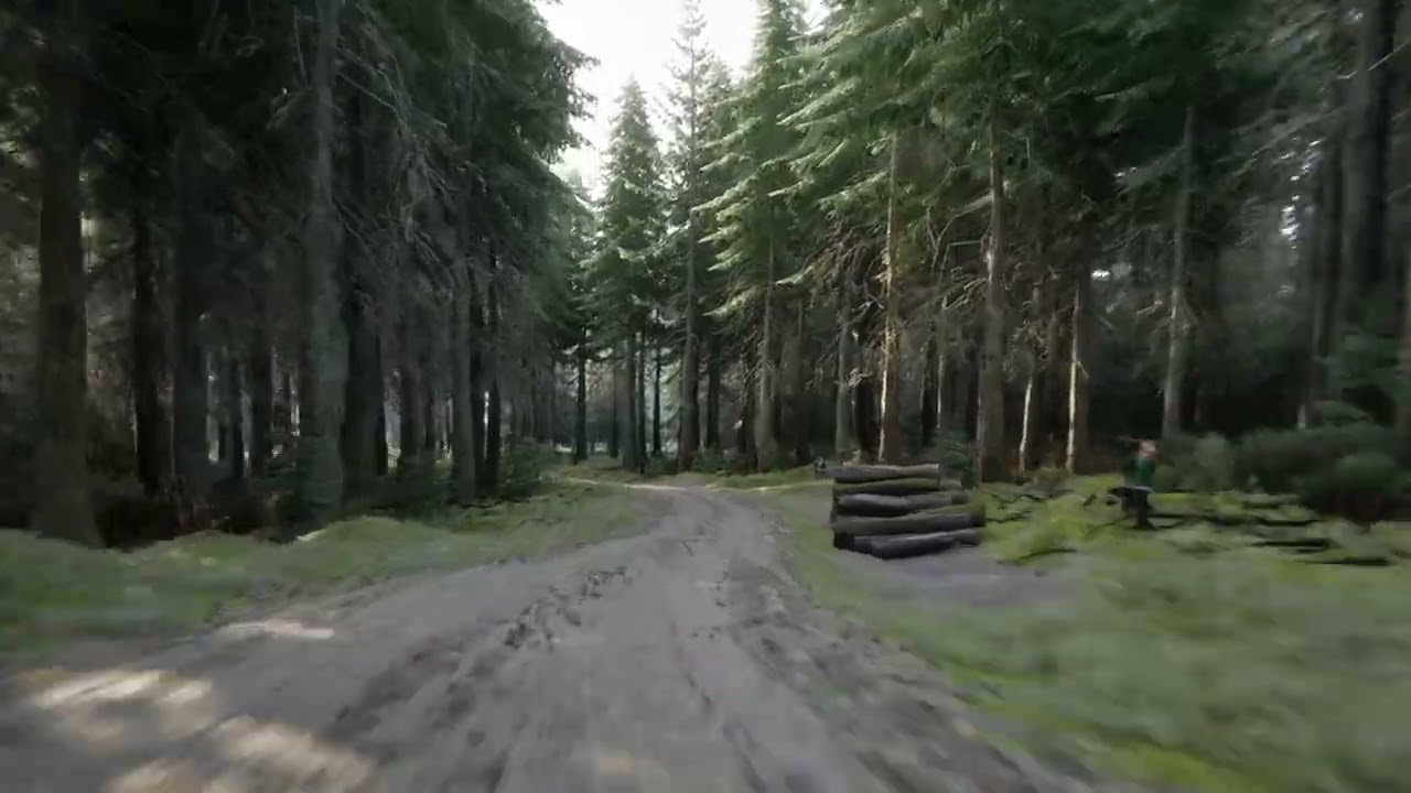 Assetto corsa RALLY - TOP 1
