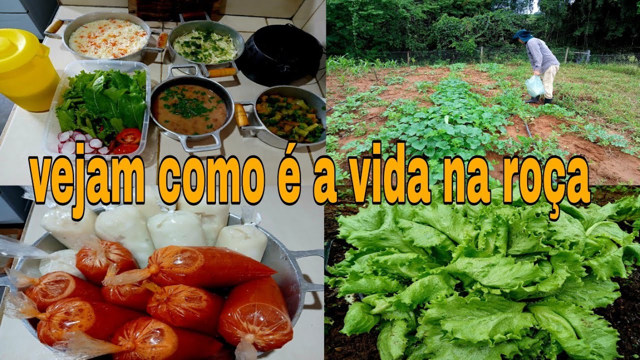 VIDA DE QUEM MORA NA ROÇA UM DIA CHOVOSO ADUMAMOS NOSSAS MELANCIAS