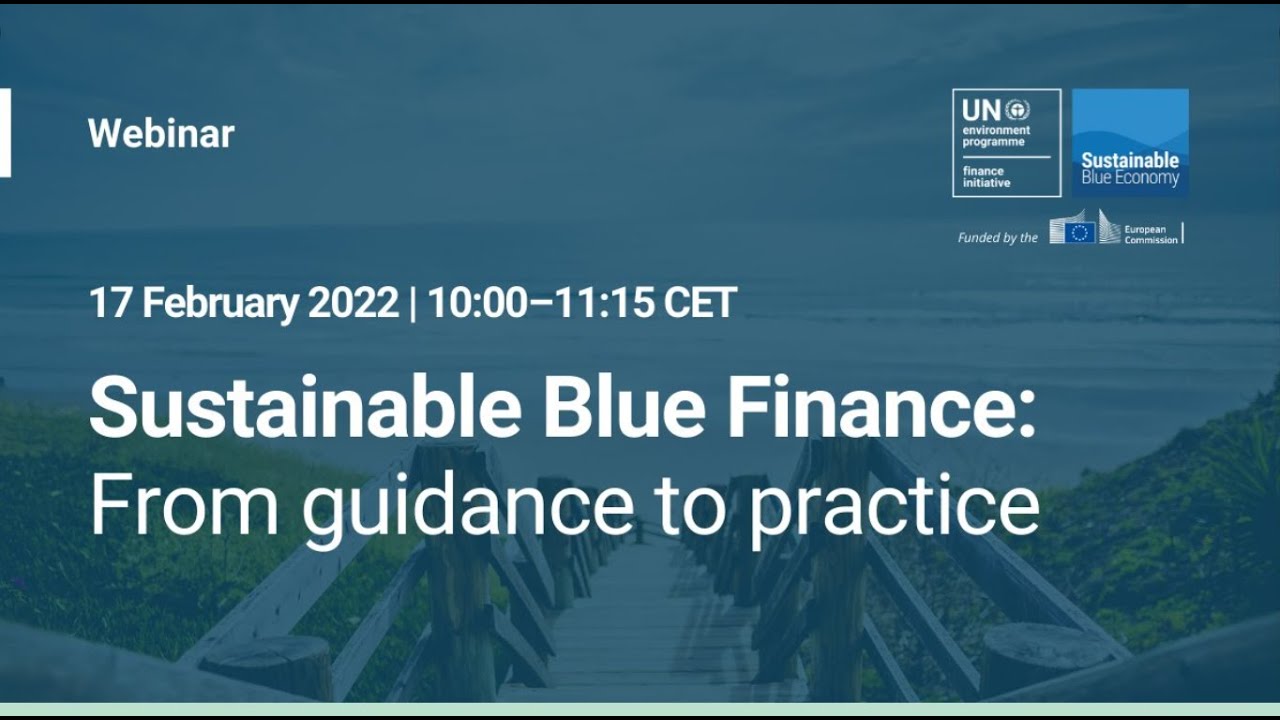 Sustainable blue finance: From guidance to practice