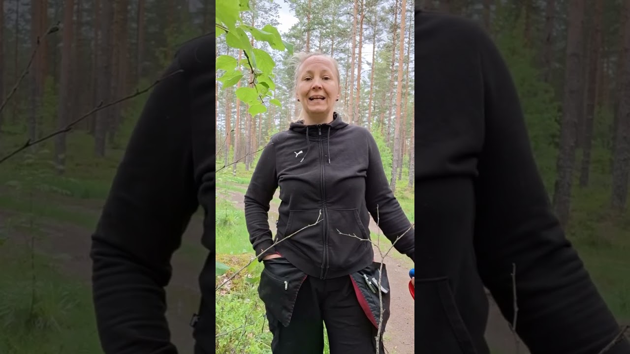 ELÄMÄÄ SENIORIKOIRIEN KANSSA osat 1-11/34