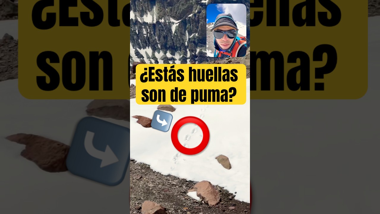 &iquest;Puma o imaginaci&oacute;n? La inquietante traves&iacute;a de Plaza Argentina a Plaza de Mulas.