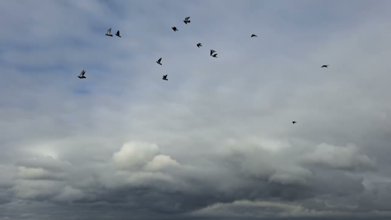 Time lapse Hamilton Ontario Canada