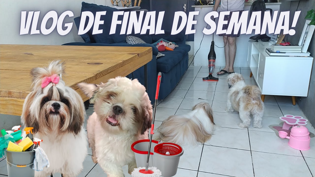 VLOG DE ROTINA DE CASA COM SHIH TZUS | Dois Pais de Pet