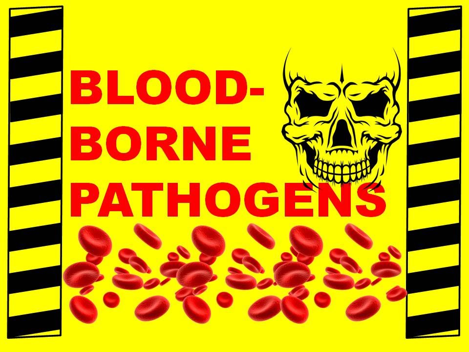 Bloodborne Pathogens - Workplace Dangers and Disease Prevention - Health & Safety Training Video