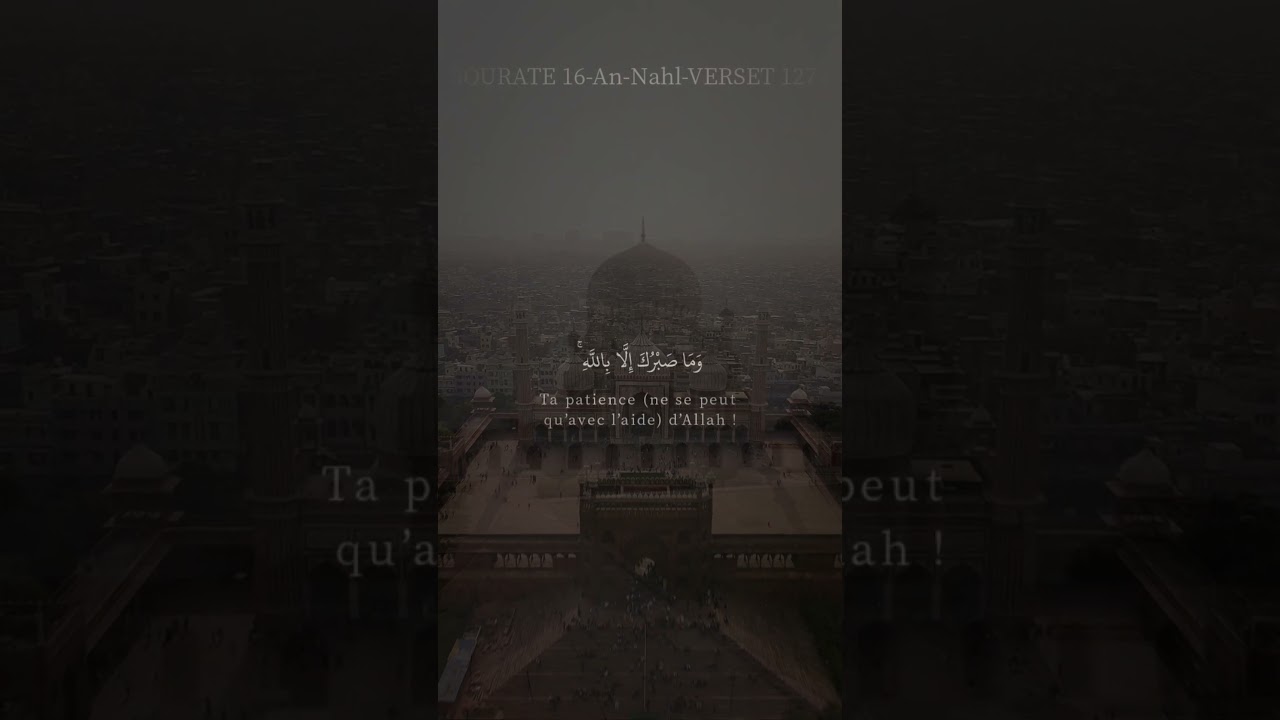 Es-tu patient ? #coran #islam #verset #meditation #patience