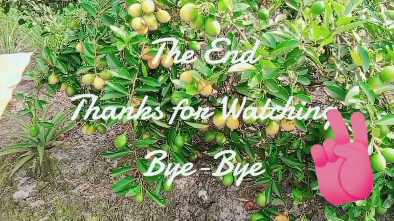 MACAM-MACAM PENGAWA KERJA BA KEBUN.