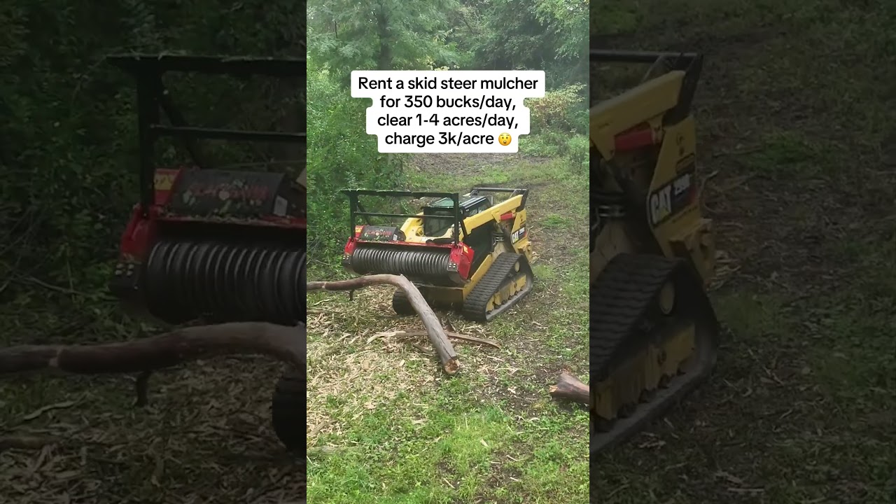 SKID STEER RENTAL #shorts #tree #grind #wood #forest #businessideas #business #makemoney #rent #tips